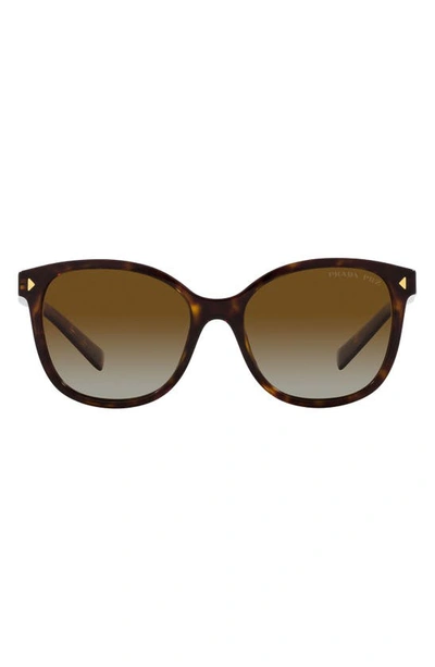 Prada 53mm Gradient Polarized Square Sunglasses In Tortoise