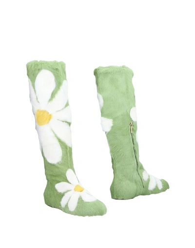 Dolce & Gabbana Knee Boots In Green