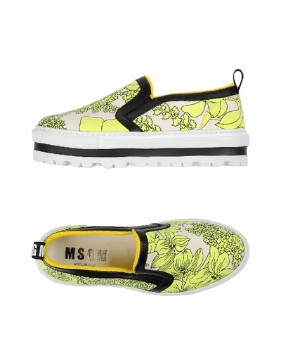 Msgm Sneakers In Ivory