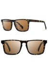 Shwood 'govy 2' 52mm Polarized Sunglasses - Darkspeckle/ Elm/ Brown