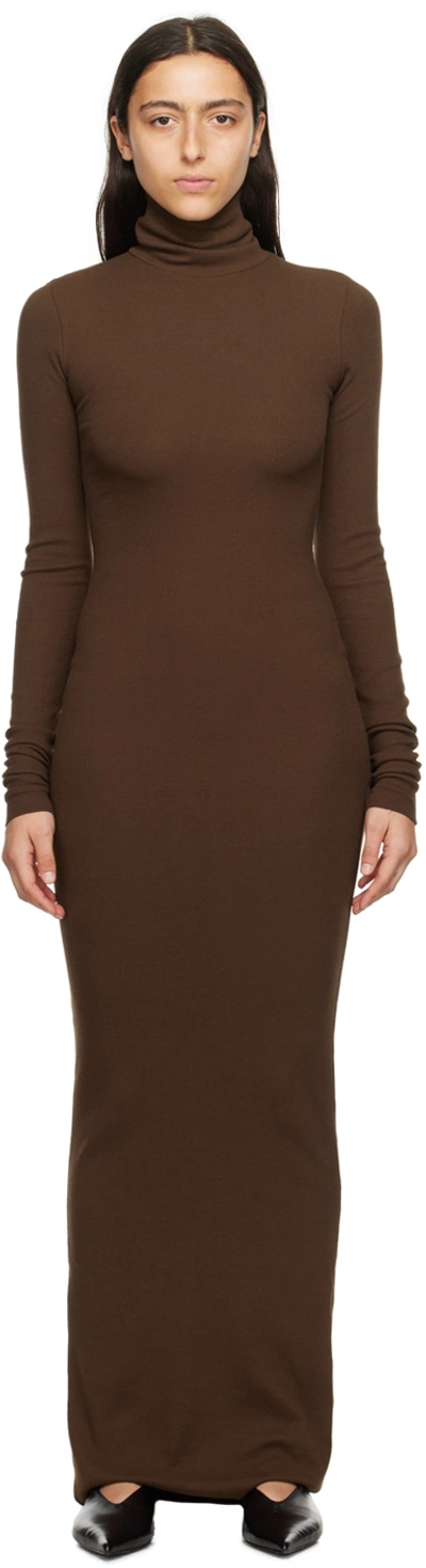 Éterne Long-sleeve Turtleneck Maxi Dress In Earth