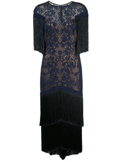Tadashi Shoji Embroidered Mesh & Fringe Gown In Midnight/ Nude