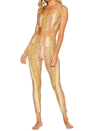 Beach Riot Piper Legging In Golden Snake In Multi