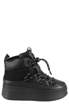 Ash Women's Montana Lace Up High Top Sneakers In Black/plum