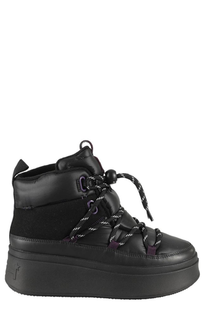 Ash Women's Montana Lace Up High Top Sneakers In Nero