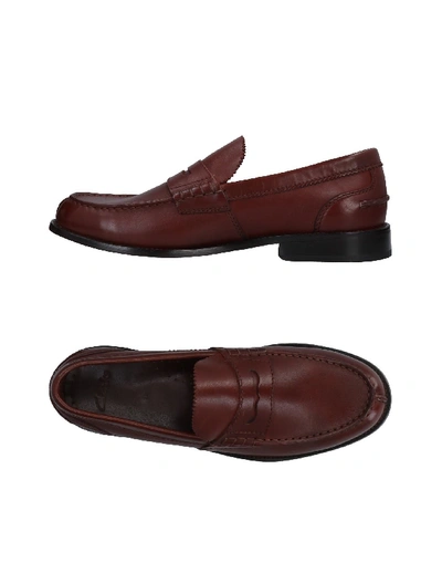 Clarks In Brown