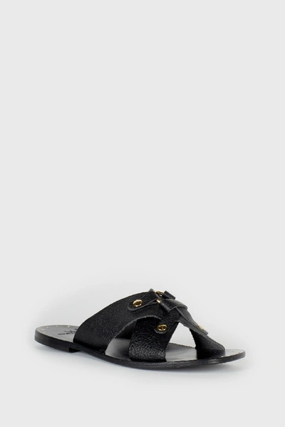 Joie Basma Studded Slide Sandal In Black Fw