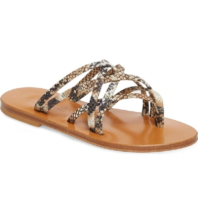 Kjacques K. Jacques St. Tropez Strappy Thong Sandal In Hawai Arce