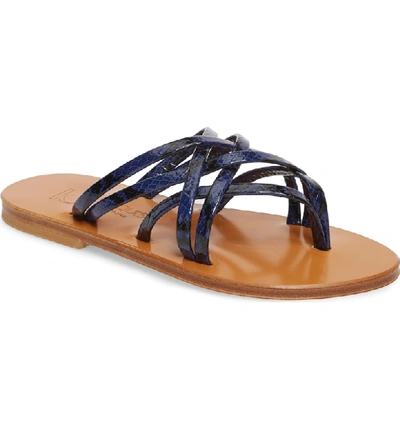 Kjacques K. Jacques St. Tropez Strappy Thong Sandal In Jal Marine