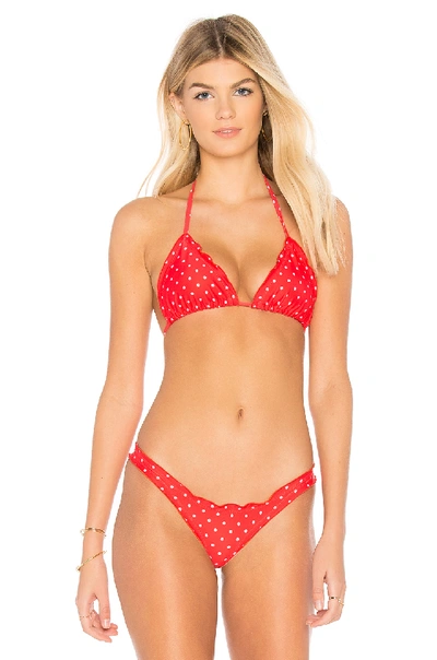 Chloe Rose Daisy Bikini Top In Red