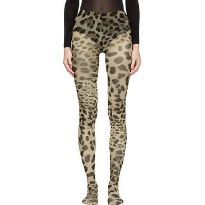 Dolce & Gabbana Multicolor Leopard Tights