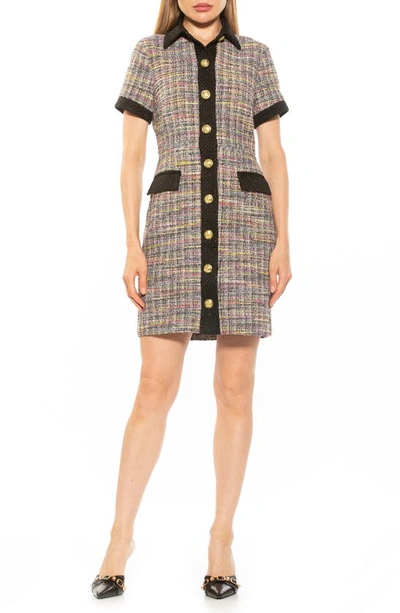 Alexia Admor Jenni Tweed Shirtdress In Black Stripe