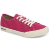 Seavees '06/67 Monterey' Sneaker In Bougainvillea