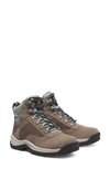 Timberland White Ledge Waterproof Hiking Boot In Taupe/gray