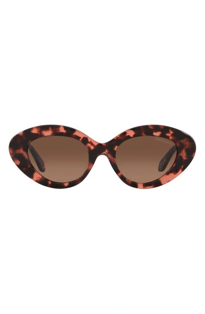 Armani Exchange 50mm Gradient Small Cat Eye Sunglasses In Havana Pink