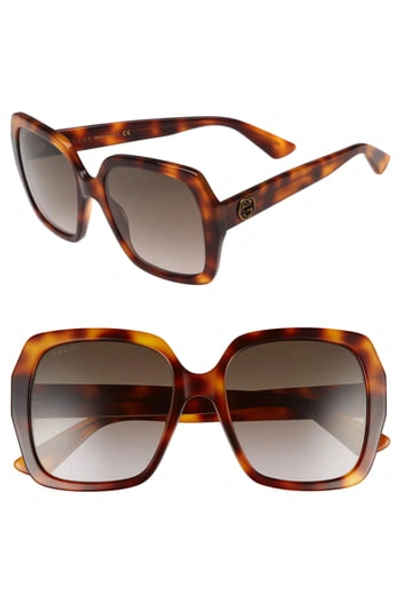 Gucci Square Bee Logo Acetate Sunglasses In Havana Brown ModeSens