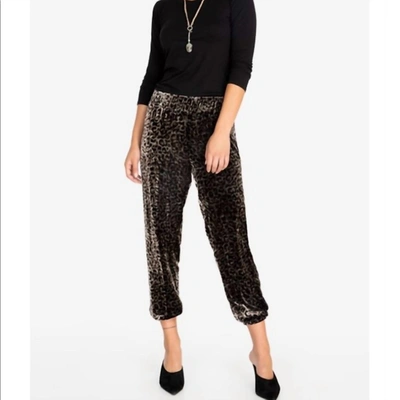 Johnny Was Leopard Velvet Jogger In Mti In Multi