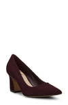 Vince Camuto Hailenda Pointed Toe Pump In Petit Sirah Suede
