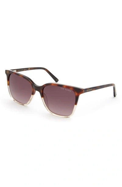 Ted Baker 54mm Square Sunglasses In Tortoise