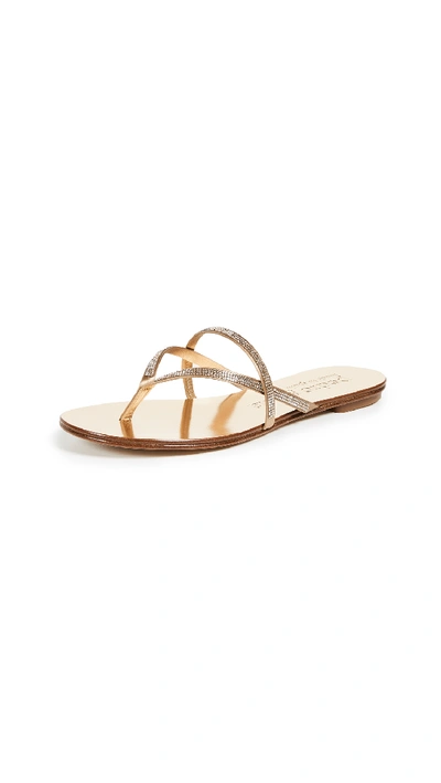 Pedro Garcia Sosie Thong Sandals In Ore