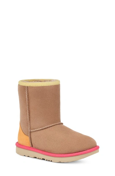 Ugg Classic Short Ii Water Resistant Genuine Shearling Boot In Beachwood / Papaya Orange
