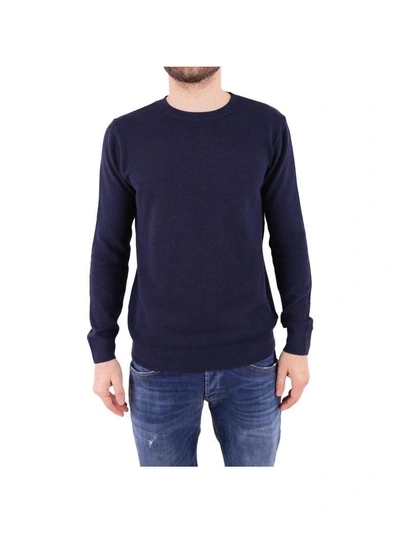 Daniele Fiesoli Cotton Sweater In Dark Blue