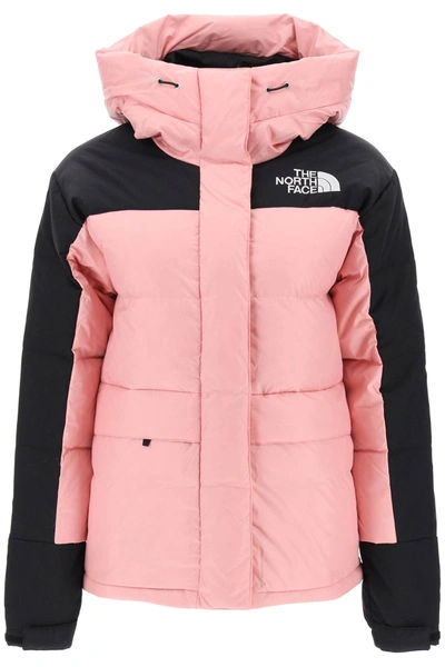 THE NORTH FACE Jackets for Women | ModeSens