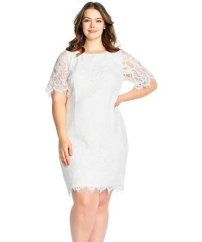 Adrianna Papell Georgia Scalloped Lace Sheath Dress In Ivory