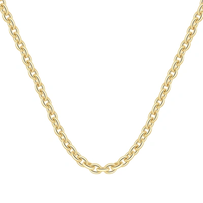 Pompeii3 14k Yellow Gold Women's 24" Chain Necklace 32 Grams 7.5mm Thick In Multi