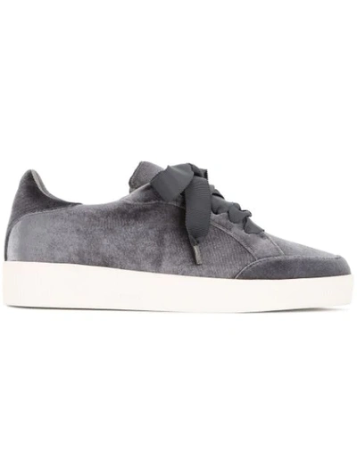 Senso Austin Sneakers In Grey