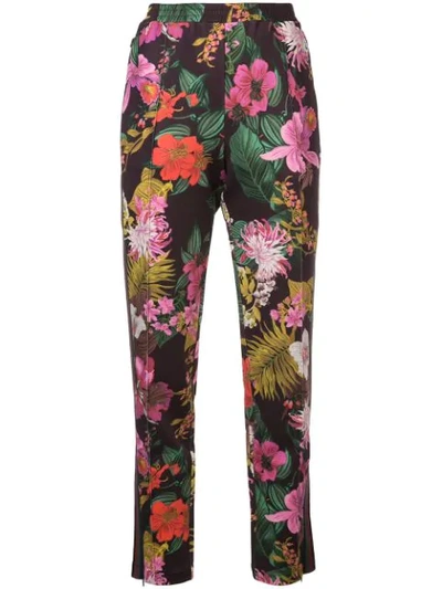 Moncler Floral-print Straight-leg Track Pants In Red