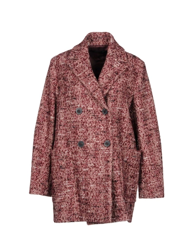 Antonelli Coat In Maroon