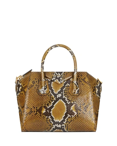 Givenchy Antigona Small Shiny Python Satchel Bag In Amber