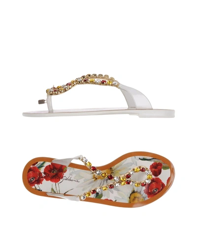 Dolce & Gabbana Toe Strap Sandals In White