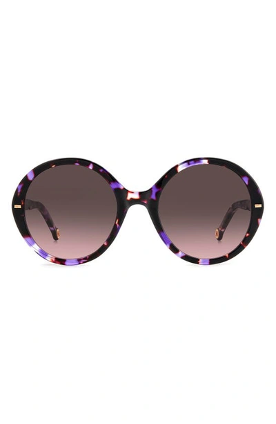 Carolina Herrera 55mm Round Sunglasses In Violet Havana / Brown Pink