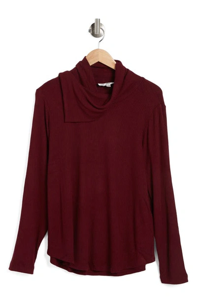 Chelsea And Theodore Cowl Neck Long Sleeve Asymmetric Drape Top In Burgundy