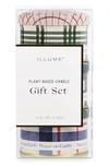 Illume ® Balsam & Cedar Mini Tin 3-piece Gift Set In Balsam Cedar Multi 3.1oz