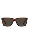 Hugo Boss 55mm Square Sunglasses In Brown Horn/ Grey