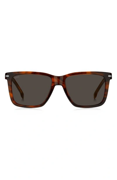 Hugo Boss 55mm Square Sunglasses In Brown Horn/ Grey