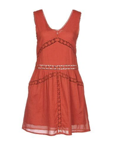 Intropia Short Dresses In Rust