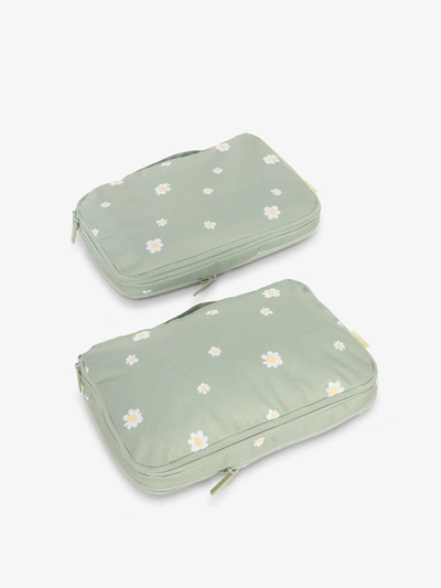 Packing Cubes Medium Compression