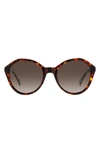 Kate Spade Jezebel 54mm Gradient Round Sunglasses In Havana/ Brown Gradient