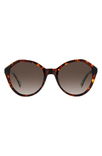 Kate Spade Jezebel 54mm Gradient Round Sunglasses In Havana/ Brown Gradient