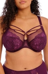 Elomi Brianna Underwire Strappy Plunge Bra In Black Berry