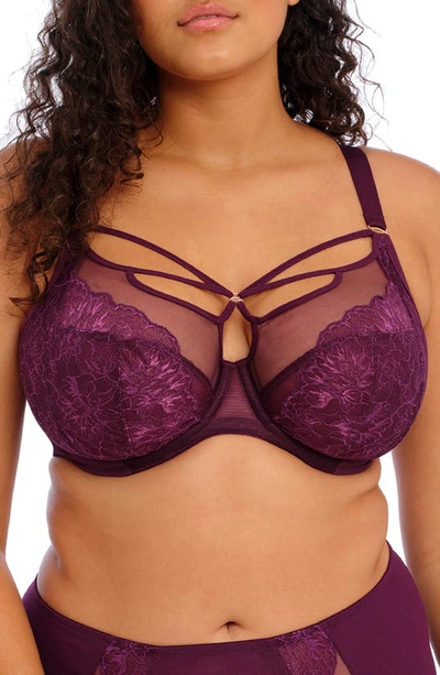 Elomi Brianna Underwire Strappy Plunge Bra In Black Berry