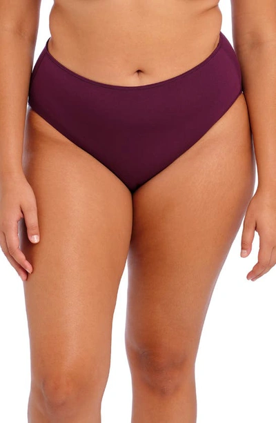 Elomi Smooth Full Briefs In Blackberry
