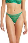 Etam Amaryllis Embroidered Thong In Grass Green