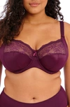 Elomi Morgan Full Figure Underwire Bra In Black Berry