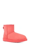 Ugg Classic Mini Ii Genuine Shearling Lined Boot In Punch Pink