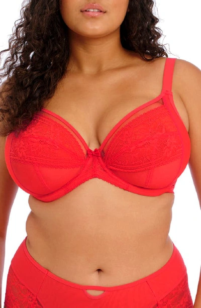 Elomi Kendra Underwire Plunge Bra In Cherry